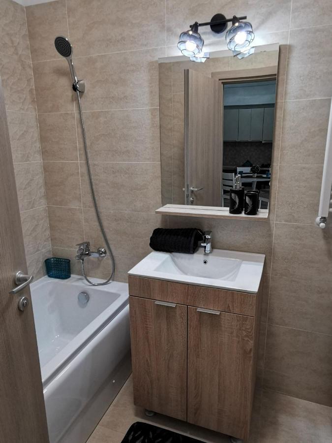 Apartament De Lux 2 Camere Cu Vedere Lacul Morii ブカレスト エクステリア 写真
